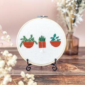 Trio de plantes suspendues